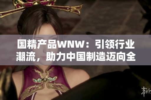 國(guó)精產(chǎn)品WNW：引領(lǐng)行業(yè)潮流，助力中國(guó)制造邁向全球舞臺(tái)