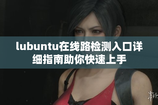 lubuntu在線路檢測(cè)入口詳細(xì)指南助你快速上手