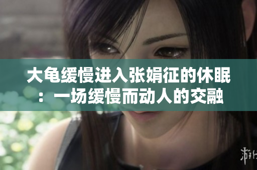 大龜緩慢進入張娟征的休眠：一場緩慢而動人的交融