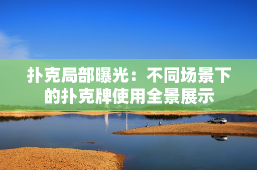 撲克局部曝光：不同場景下的撲克牌使用全景展示
