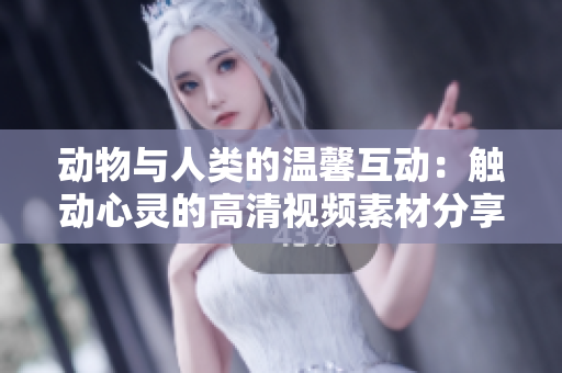 動物與人類的溫馨互動：觸動心靈的高清視頻素材分享