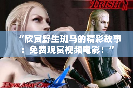 “欣賞野生斑馬的精彩故事：免費觀賞視頻電影！”