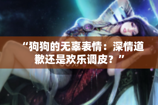 “狗狗的無辜表情：深情道歉還是歡樂調(diào)皮？”