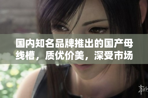 國內(nèi)知名品牌推出的國產(chǎn)母線槽，質(zhì)優(yōu)價美，深受市場青睞