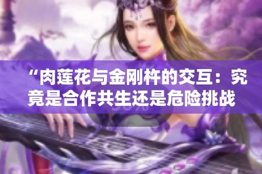 “肉蓮花與金剛杵的交互：究竟是合作共生還是危險挑戰(zhàn)？”