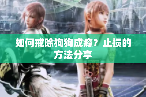 如何戒除狗狗成癮？止損的方法分享