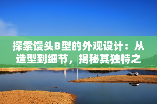 探索饅頭B型的外觀設計：從造型到細節(jié)，揭秘其獨特之處
