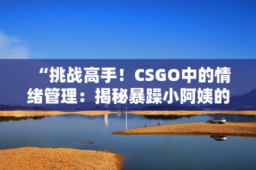 “挑戰(zhàn)高手！CSGO中的情緒管理：揭秘暴躁小阿姨的應(yīng)對(duì)技巧”