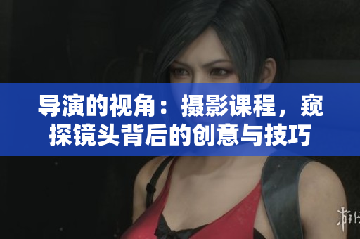 導演的視角：攝影課程，窺探鏡頭背后的創(chuàng)意與技巧
