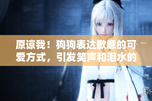 原諒我！狗狗表達(dá)歉意的可愛方式，引發(fā)笑聲和淚水的有趣時(shí)刻
