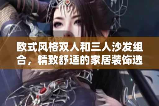 歐式風(fēng)格雙人和三人沙發(fā)組合，精致舒適的家居裝飾選擇