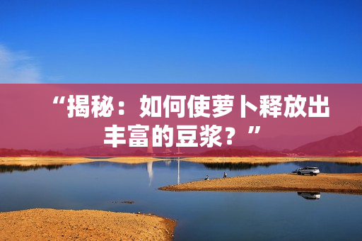 “揭秘：如何使蘿卜釋放出豐富的豆?jié){？”