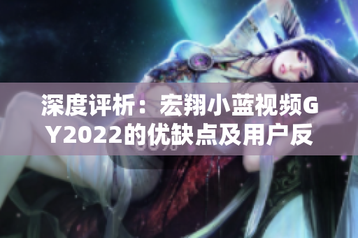 深度評析：宏翔小藍(lán)視頻GY2022的優(yōu)缺點及用戶反饋