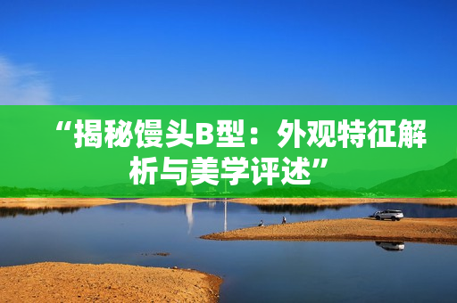 “揭秘饅頭B型：外觀特征解析與美學(xué)評述”