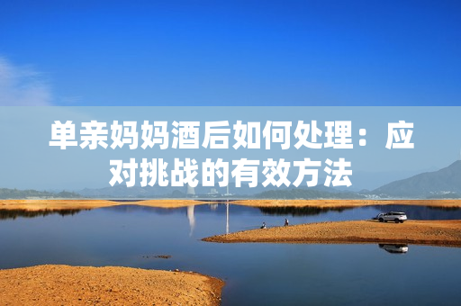 單親媽媽酒后如何處理：應(yīng)對挑戰(zhàn)的有效方法
