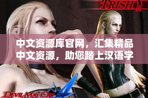 中文資源庫官網(wǎng)，匯集精品中文資源，助您踏上漢語學習之路