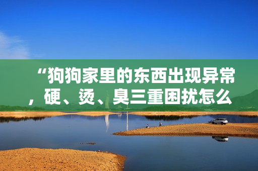 “狗狗家里的東西出現(xiàn)異常，硬、燙、臭三重困擾怎么解決？”