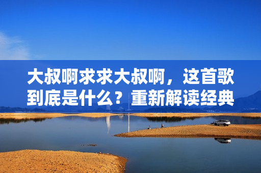 大叔啊求求大叔啊，這首歌到底是什么？重新解讀經(jīng)典：大叔歌曲背后的故事
