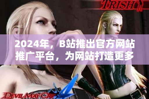 2024年，B站推出官方網(wǎng)站推廣平臺，為網(wǎng)站打造更多流量，加速發(fā)展