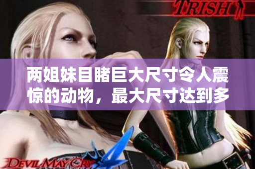 兩姐妹目睹巨大尺寸令人震驚的動(dòng)物，最大尺寸達(dá)到多少厘米？