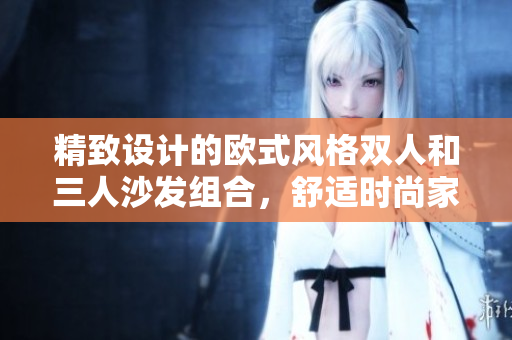 精致設(shè)計的歐式風(fēng)格雙人和三人沙發(fā)組合，舒適時尚家居裝飾元素