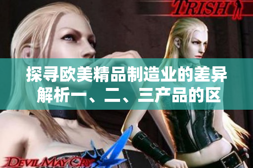 探尋歐美精品制造業(yè)的差異 解析一、二、三產(chǎn)品的區(qū)別
