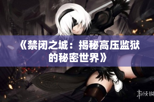 《禁閉之城：揭秘高壓監(jiān)獄的秘密世界》