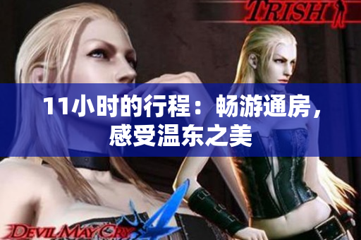 11小時(shí)的行程：暢游通房，感受溫東之美