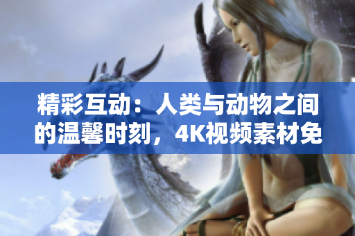 精彩互動：人類與動物之間的溫馨時(shí)刻，4K視頻素材免費(fèi)下載