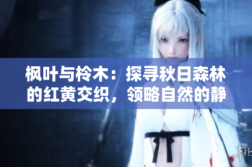 楓葉與柃木：探尋秋日森林的紅黃交織，領(lǐng)略自然的靜謐與美麗