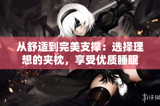 從舒適到完美支撐：選擇理想的夾枕，享受優(yōu)質睡眠