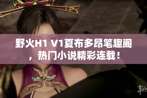 野火H1 V1夏布多昂筆趣閣，熱門(mén)小說(shuō)精彩連載！