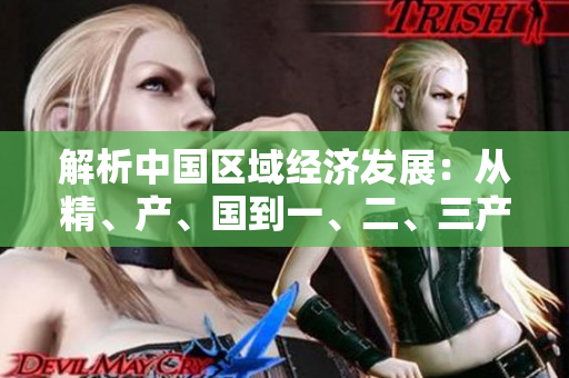 解析中國區(qū)域經(jīng)濟(jì)發(fā)展：從精、產(chǎn)、國到一、二、三產(chǎn)區(qū)的演變與區(qū)別