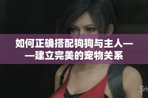 如何正確搭配狗狗與主人——建立完美的寵物關(guān)系