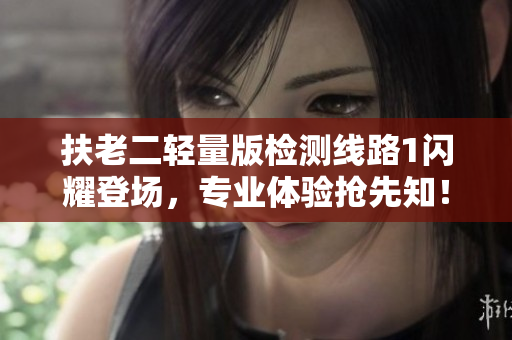 扶老二輕量版檢測線路1閃耀登場，專業(yè)體驗搶先知！
