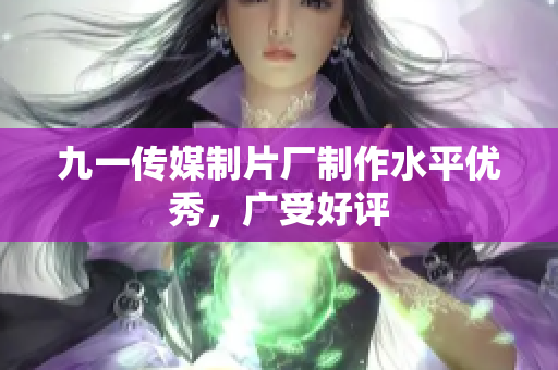 九一傳媒制片廠制作水平優(yōu)秀，廣受好評