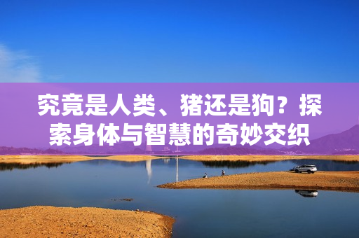 究竟是人類、豬還是狗？探索身體與智慧的奇妙交織