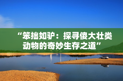“笨拙如驢：探尋傻大壯類動(dòng)物的奇妙生存之道”
