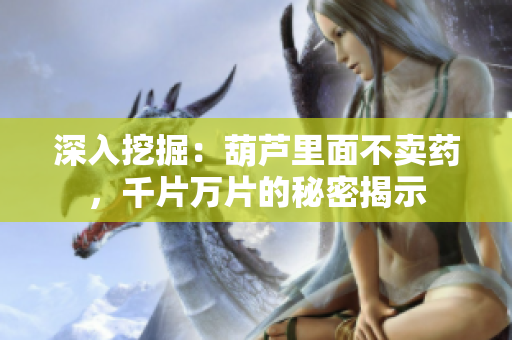 深入挖掘：葫蘆里面不賣藥，千片萬片的秘密揭示