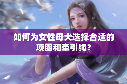 如何為女性母犬選擇合適的項(xiàng)圈和牽引繩？
