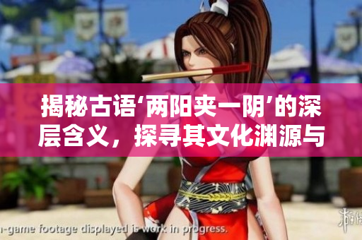 揭秘古語‘兩陽夾一陰’的深層含義，探尋其文化淵源與象征意義