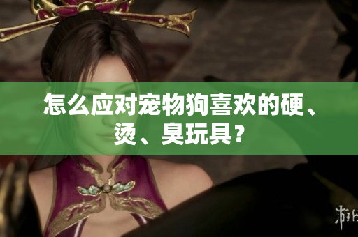 怎么應對寵物狗喜歡的硬、燙、臭玩具？