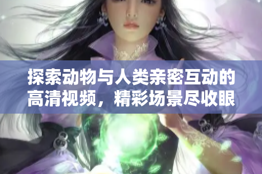 探索動(dòng)物與人類親密互動(dòng)的高清視頻，精彩場(chǎng)景盡收眼底