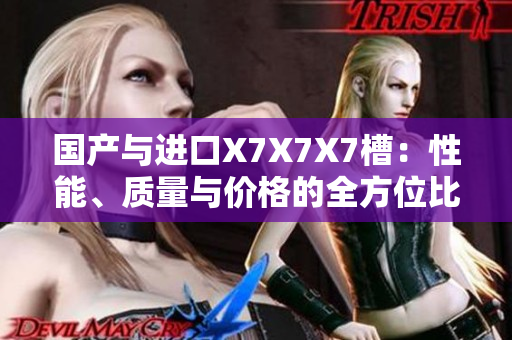 國產(chǎn)與進(jìn)口X7X7X7槽：性能、質(zhì)量與價(jià)格的全方位比較