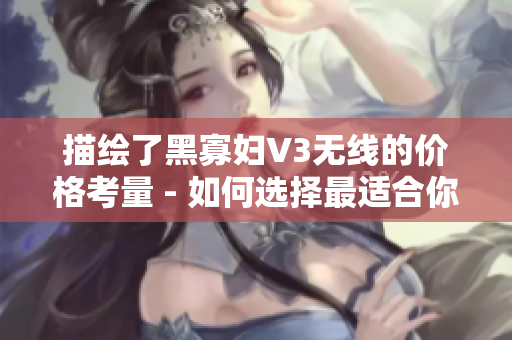 描繪了黑寡婦V3無(wú)線(xiàn)的價(jià)格考量 - 如何選擇最適合你的版本？