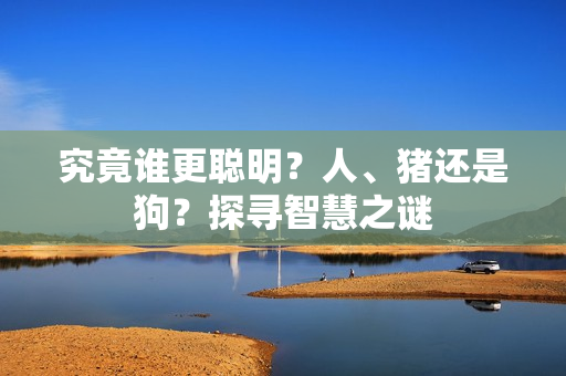 究竟誰更聰明？人、豬還是狗？探尋智慧之謎