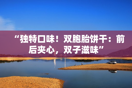 “獨特口味！雙胞胎餅干：前后夾心，雙子滋味”