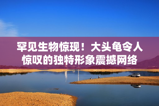 罕見生物驚現(xiàn)！大頭龜令人驚嘆的獨特形象震撼網(wǎng)絡(luò)