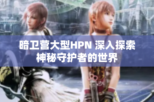 暗衛(wèi)營大型HPN 深入探索神秘守護(hù)者的世界
