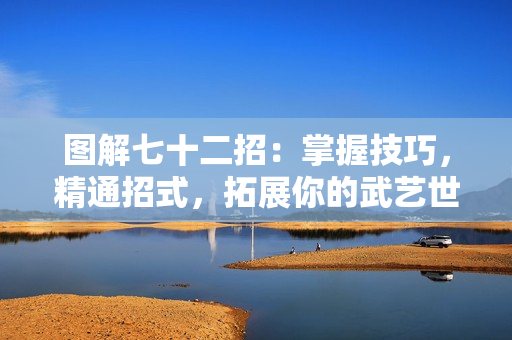 圖解七十二招：掌握技巧，精通招式，拓展你的武藝世界